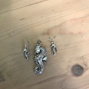 Silver Seahorse Jewelry Set